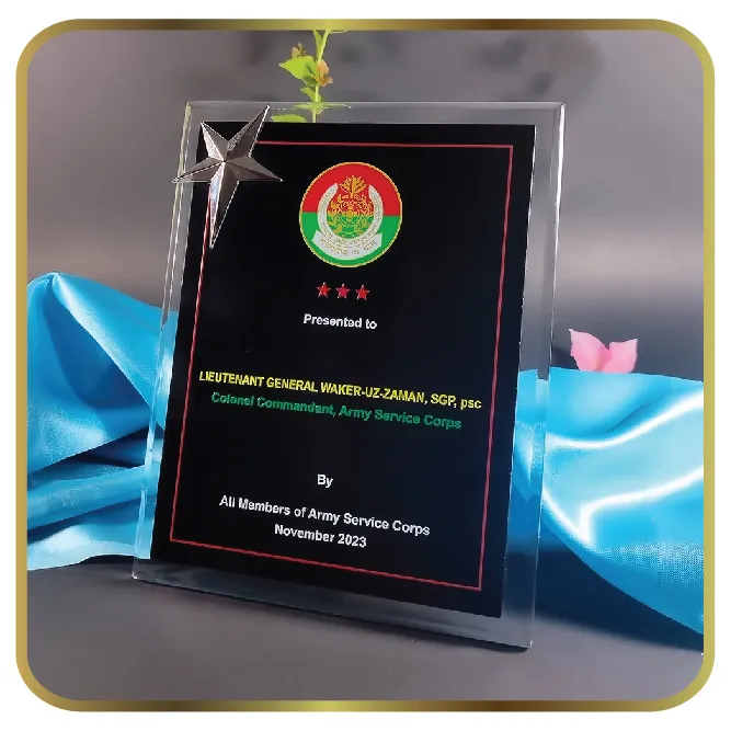 Premium Glass Recognition Plaque with Metallic Star Accent and Custom Display Insert