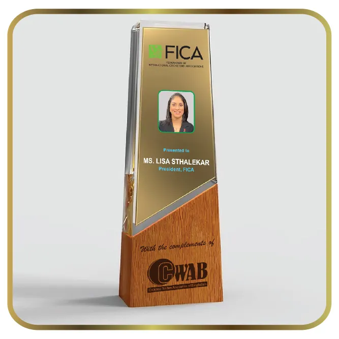 Premium Wooden Base Obelisk Trophy with Gold Acrylic Core and Clear Crystal Pillar Overlay
